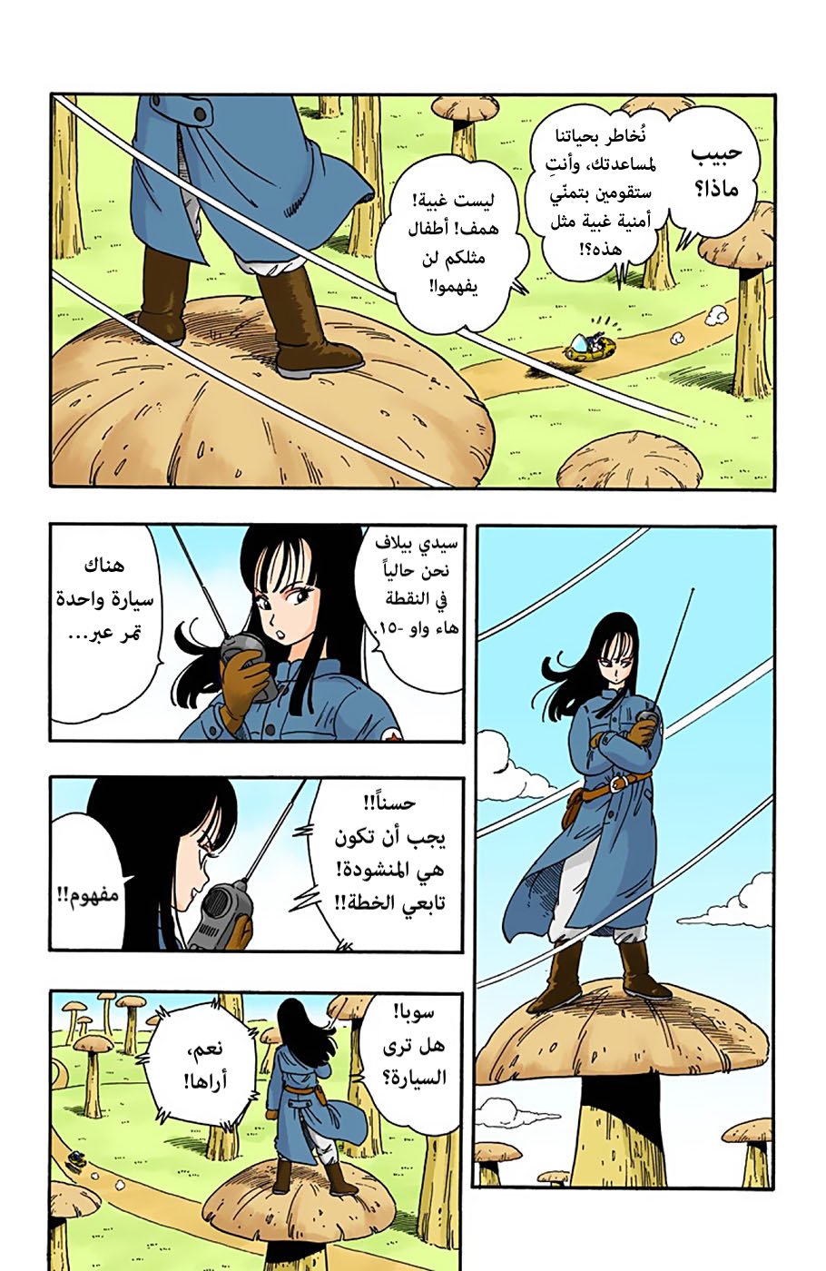 صفحة 2