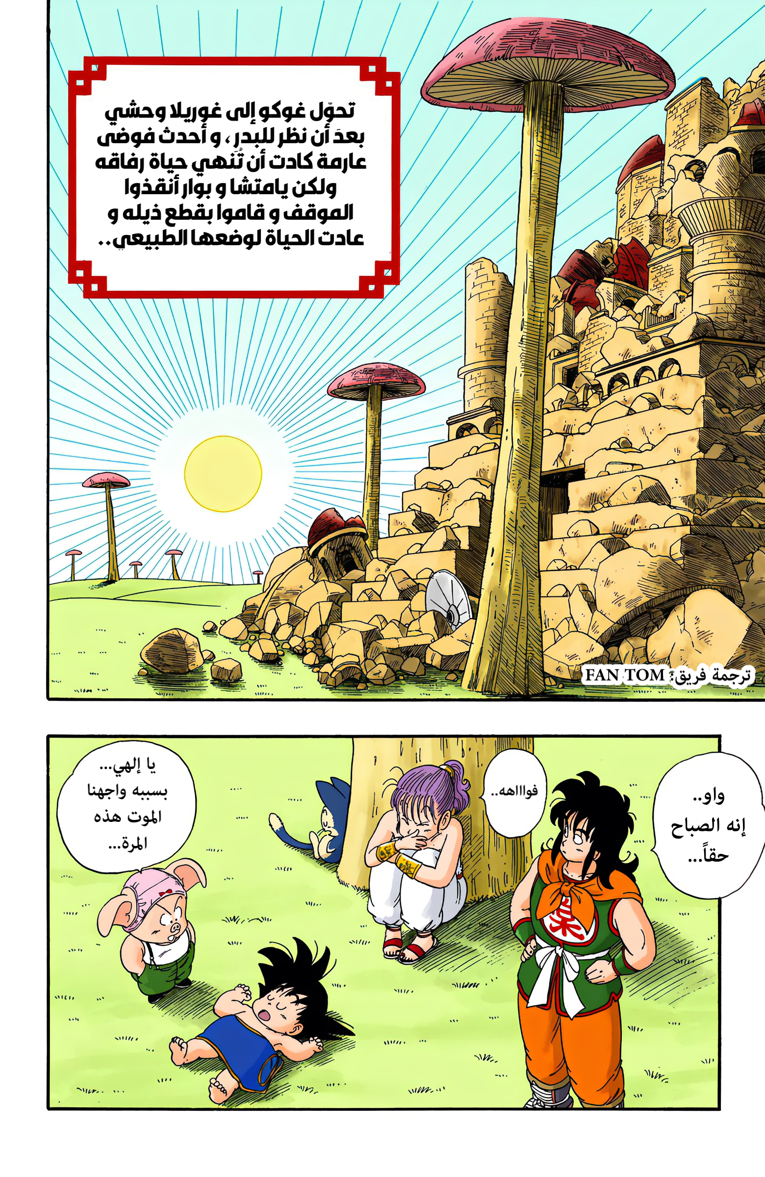 صفحة 2