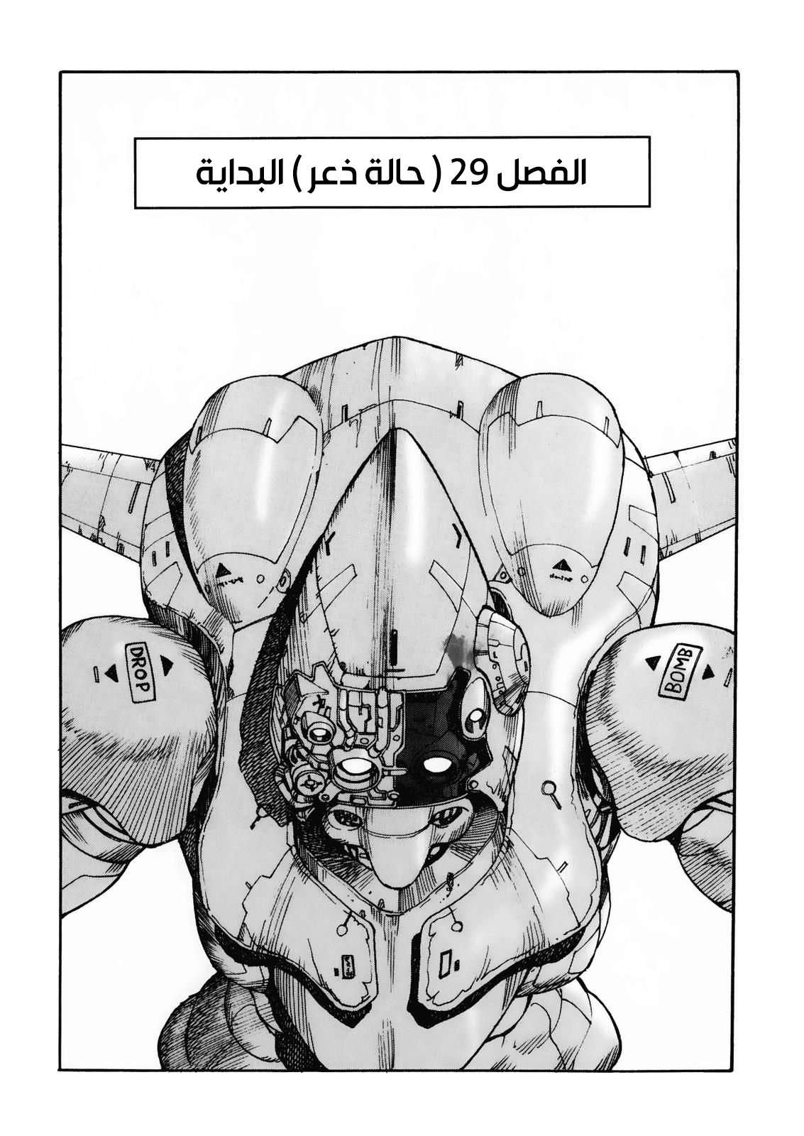 صفحة 2