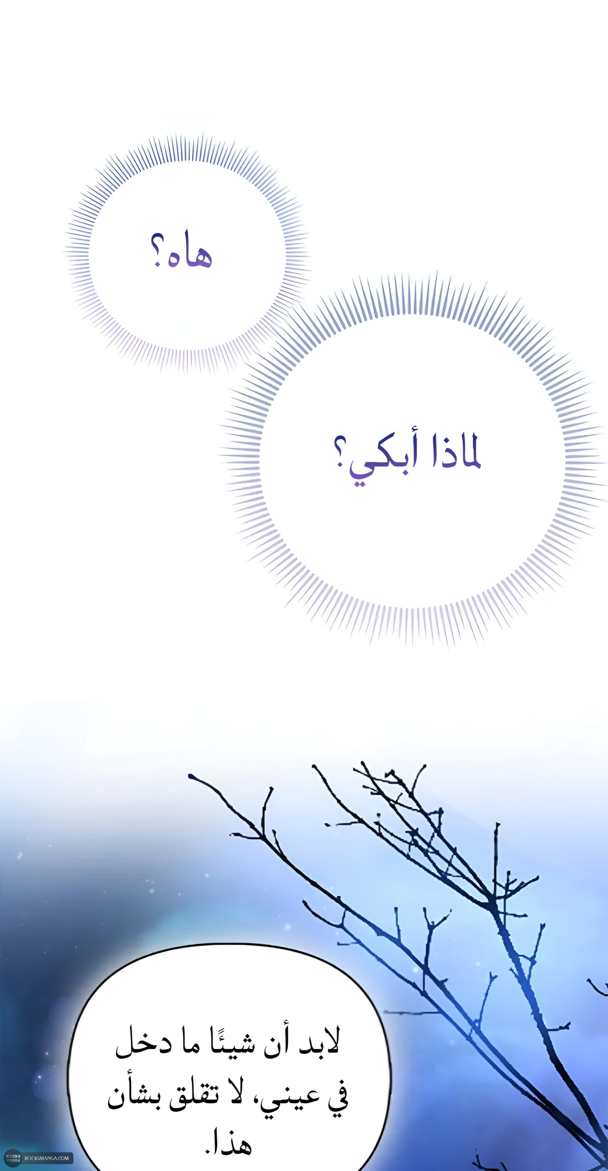 صفحة 2