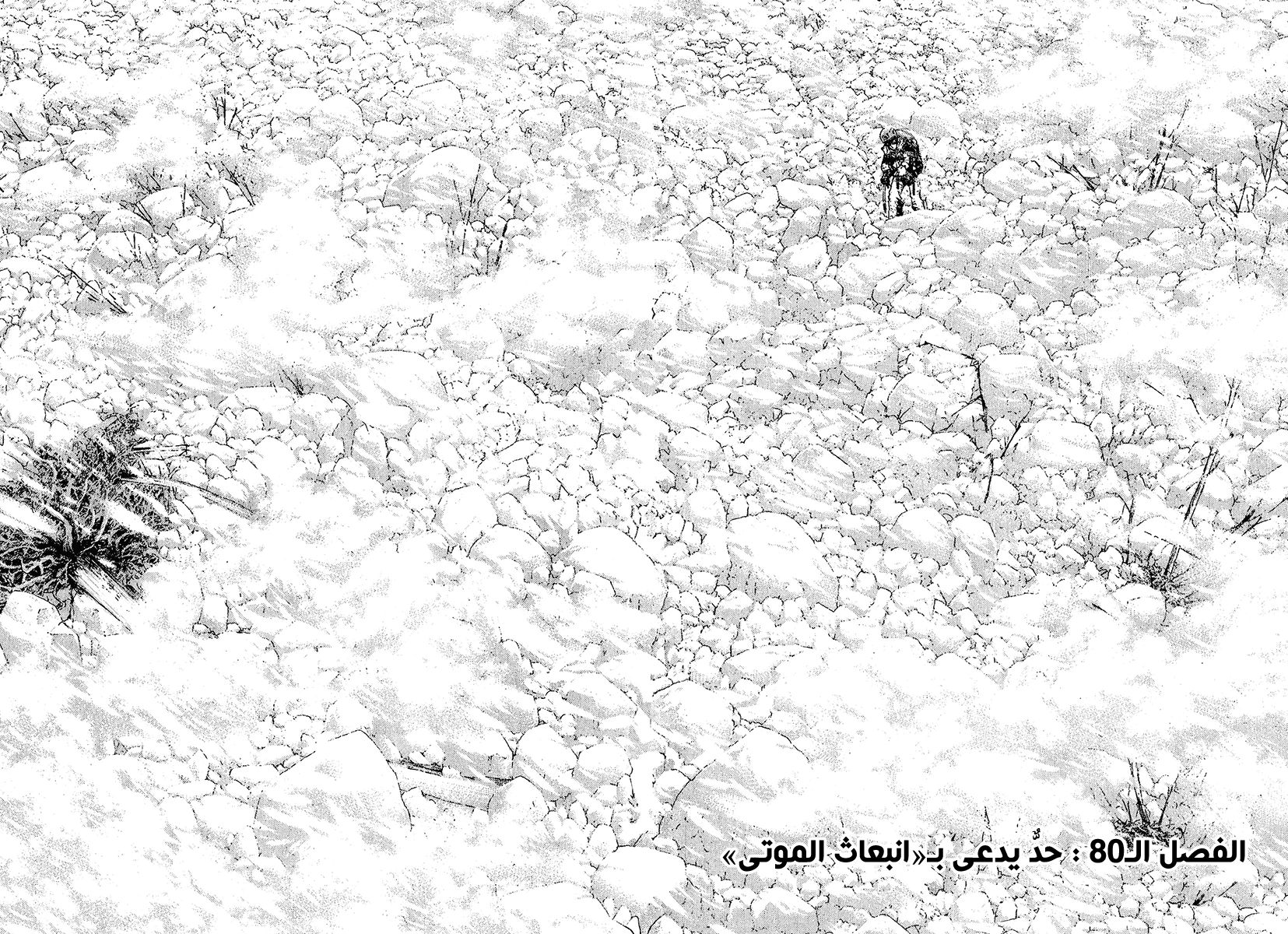 صفحة 2
