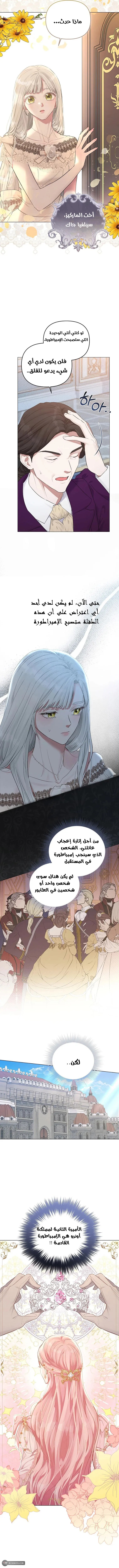 صفحة 2