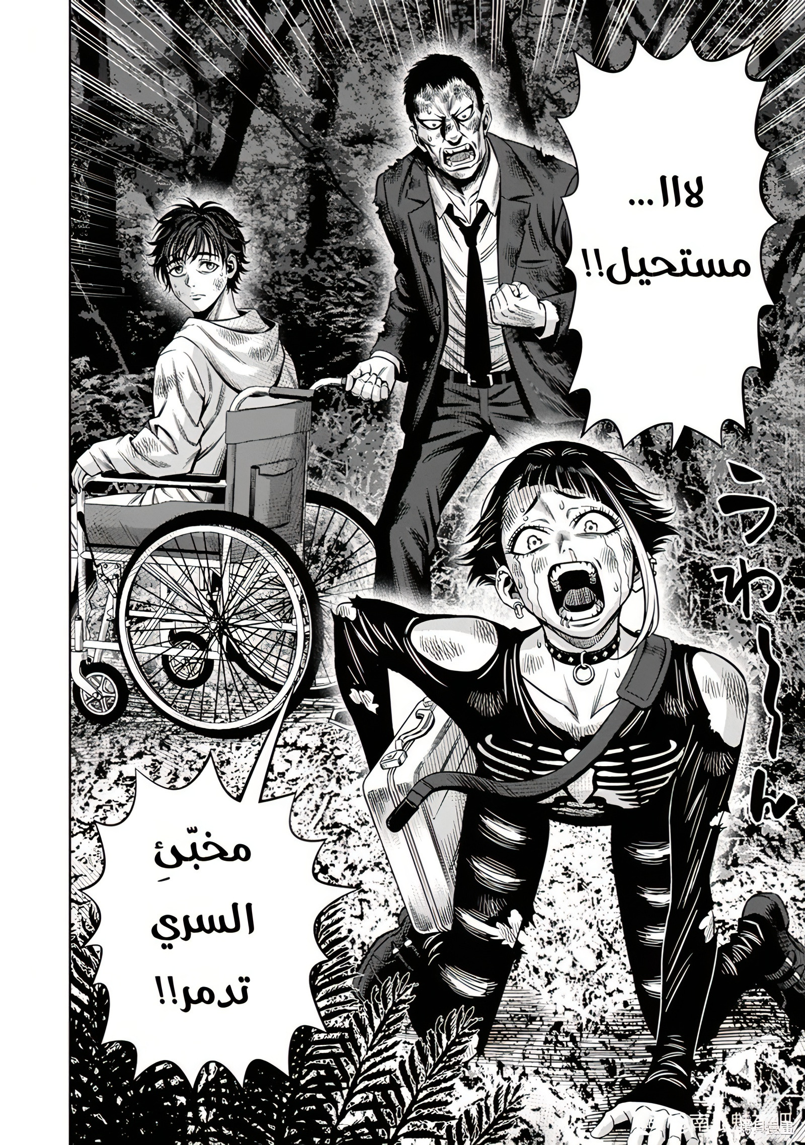 صفحة 2