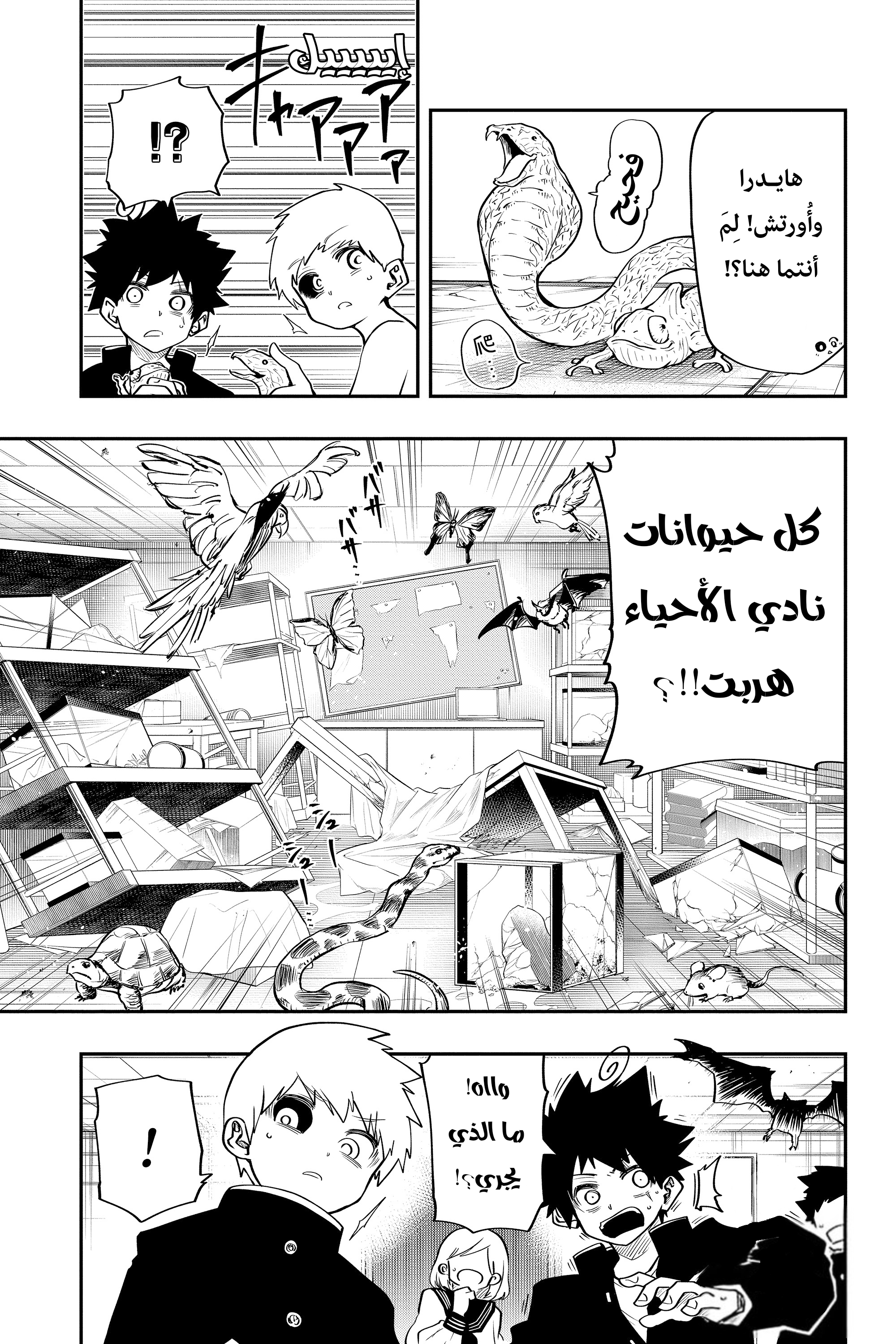 صفحة 2